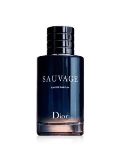 sauvage christian dior 100ml edp Perfume